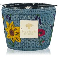 Baobab Collection Vony Tanteli aроматична свічка 500 гр