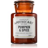 Paddywax Apothecary Pumpkin Spice ароматна свещ 226 гр.