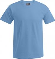 Pánské pevné prémiové triko Promodoro 100% bavlna Barva: modrá alaskan, Velikost: L E3000