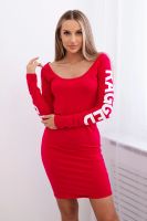 Ragged Fuchsia Dress