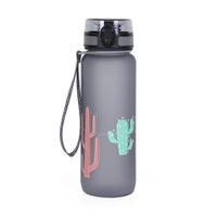 Športová fľaša 800ml - Kaktus ALBI