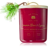 DW Home Farmhouse Cinnamon Clove & Cypress Duftkerze 244 g