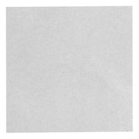 Umělé sklo Owocor 50 x 100 x 0,5 cm / odolné proti rozbití / čirý polystyren