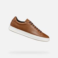 Brown men's sneakers Geox Baltmoore - Men's