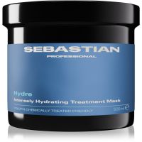 Sebastian Professional Hydre feuchtigkeitsspendende Maske für die Haare für trockenes, beschädigtes und gefärbtes Haar 500 ml
