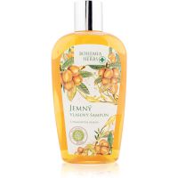 Bohemia Gifts & Cosmetics Bohemia Herbs Argan Oil Haarshampoo 250 ml