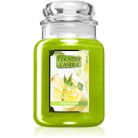 Country Candle Pineapplerita lumânare parfumată 680 g