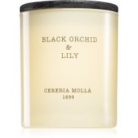 Cereria Mollá Boutique Black Orchid & Lily vonná svíčka 230 g