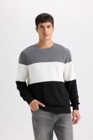 DEFACTO Regular Fit Crew Neck Jacquard Sweatshirt