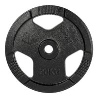 Litinový kotouč inSPORTline Hamerton Black 20 kg 30 mm