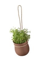Kvetináč na bylinky Rig-Tig Grow-it 13 x 13 cm