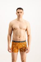 Men's boxers Frogies Zodiac Steinbock