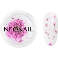 NEONAIL Dried Flowers osušeni cvijet za nokte nijansa Purple 1 kom