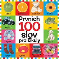 Prvních 100 slov pro šikuly - kniha z kategorie Naučné knihy