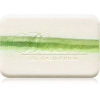 Baxter of California Lime & Pomegranate kremowe mydło pod prysznic 198 g