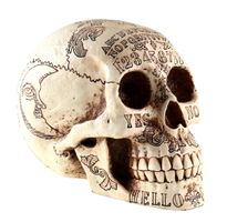 Ukras Spirits Lubanje