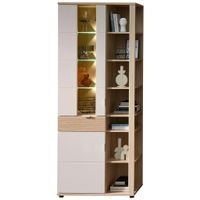 Stylife VITRÍNA, farba duba, kašmírová, 80/202/38 cm