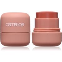 Catrice My Core Essentials багатофункціональний макіяж для очей та обличчя відтінок 7.8 гр