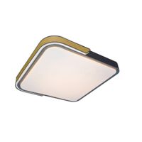 Rabalux STROPNÉ LED SVIETIDLO, 42/8,5/42 cm