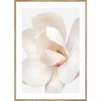 Monee UMELECKÁ TLAČ, kvety, 51,2/71,2 cm