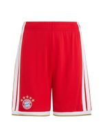 ADIDAS PERFORMANCE Sportske hlače 'FC Bayern München Home 26/27'  boja devine dlake (camel) / crvena / bijela