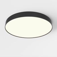 MAYTONI STROPNÍ SVÍTIDLO, 60/6 cm