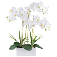 UMELÁ RASTLINA 58 cm