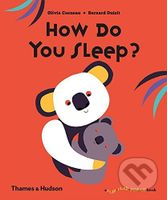How Do You Sleep? - Olivia Cosneau, Bernard Duisit - kniha z kategorie Pohádky