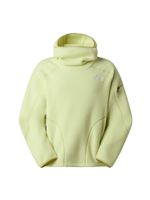 THE NORTH FACE Sportski pulover  svijetlozelena