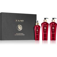 T-LAB Professional Aura Oil ajándékszett táplált és fényes hatásért