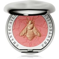 Chantecaille Cheek Shades рум'яна 2.5 гр