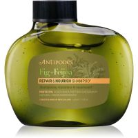 Antipodes Fig + Feijoa Repair & Nourish posilňujúci šampón pre suché a poškodené vlasy 340 ml