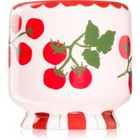 Paddywax A Dopo Tomato Vine ароматна свещ 226 гр.