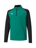 PUMA Sportska sweater majica 'TeamLiga 14'  zelena / crna