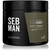 Sebastian Professional SEB MAN The Dandy помада за коса за естествена фиксация 75 мл.