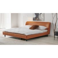 Livetastic ČALÚNENÁ POSTEĽ, 180/200 cm, hnedá
