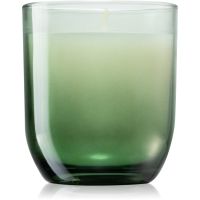Paddywax Enneagram Achiever (Tobacco + Patchouli) αρωματικό κερί 141 γρ