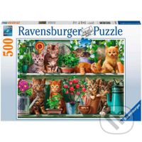 Kočky na poličkách mezi květinami - puzzle z kategorie Zvířata