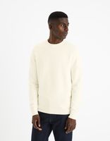 Celio Sweater Felinode - Men's