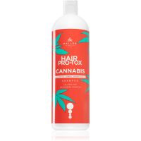 Kallos Hair Pro-Tox Cannabis regeneracijski šampon s konopljinim oljem 1000 ml