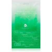 AXIS-Y Mugwort Green Vital Energy Complex Sheet Mask Zellschichtmaske mit feuchtigkeitsspendender und beruhigender Wirkung 27 ml