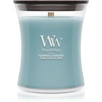 Woodwick Cedarwood & Ocean Moss dišeča sveča z lesenim stenjem 275 g