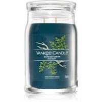 Yankee Candle Bayside Cedar świeczka zapachowa I. Signature 567 g