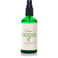 Dr. Feelgood Centella Asiatica Water obnovujúca pleťová voda 100 ml