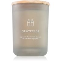 DW Home Hygge Gratitude aроматична свічка 210 гр