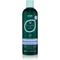 HASK Tea Tree Oil & Rosemary osvežujoči šampon za suho in srbeče lasišče 355 ml