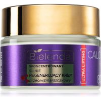 Bielenda Calcium + Q10 Concentrated, strongly regenerating anti-wrinkle cream for day 80+ Festigende Tagescreme gegen Falten 50 ml