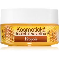 Bione Cosmetics Honey + Q10 козметичен вазелин 155 мл.