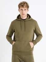 Celio Fesix Sweatshirt Grün