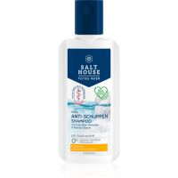 Salt House Dead Sea Therapy Anti-dandruff Shampoo шампунь проти лупи 250 мл